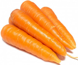 Морковь мытая импорт